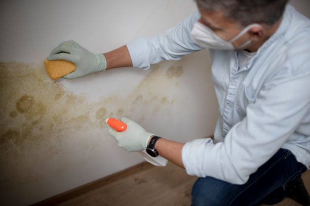 Sewage cleanup and water damage restoration